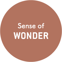 WONDER