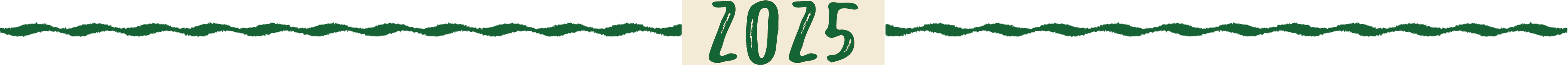 2025