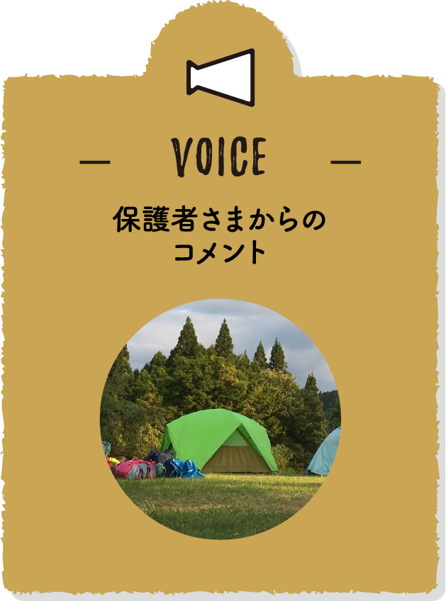 VOICE